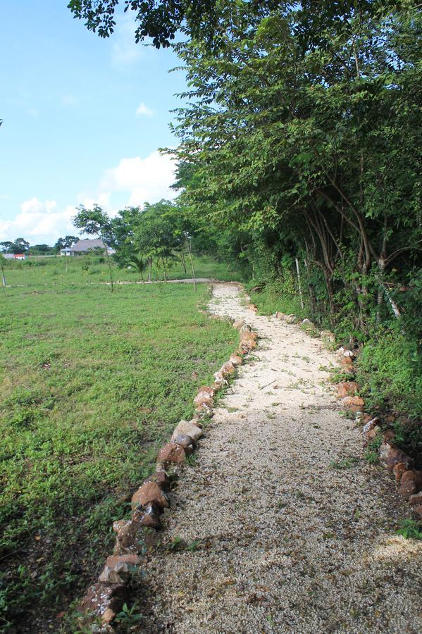 Real Primaveras Campestre Escárcega Eksteriør bilde
